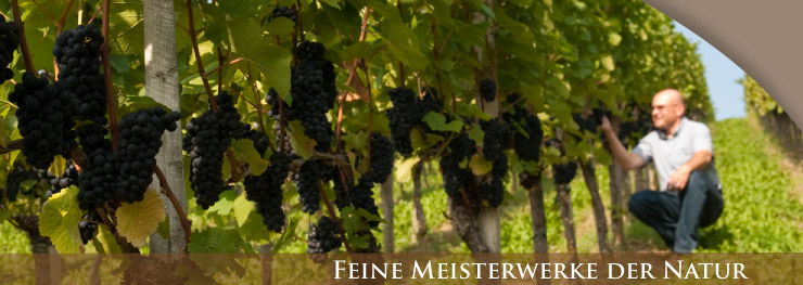 Weingut Lothar Schwörer, Baden