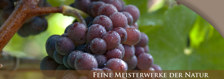 Weingut Lothar Schwörer, Baden