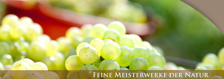 Weingut Lothar Schwörer, Baden Weingut Lothar Schwörer, Baden