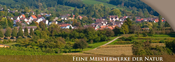 Weingut Lothar Schwörer, Baden Weingut Lothar Schwörer, Baden