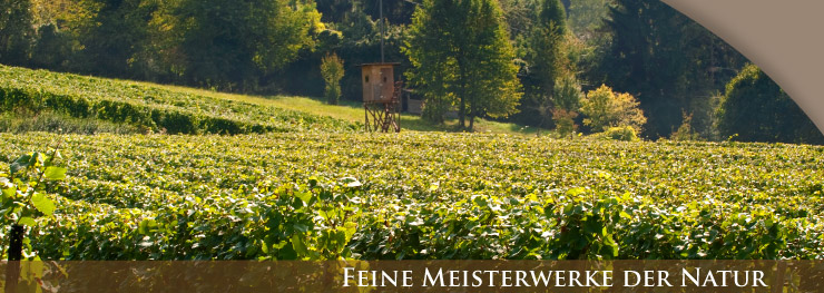 Weingut Lothar Schwörer, Baden Weingut Lothar Schwörer, Baden